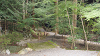 camp26 (475)_thumb.png